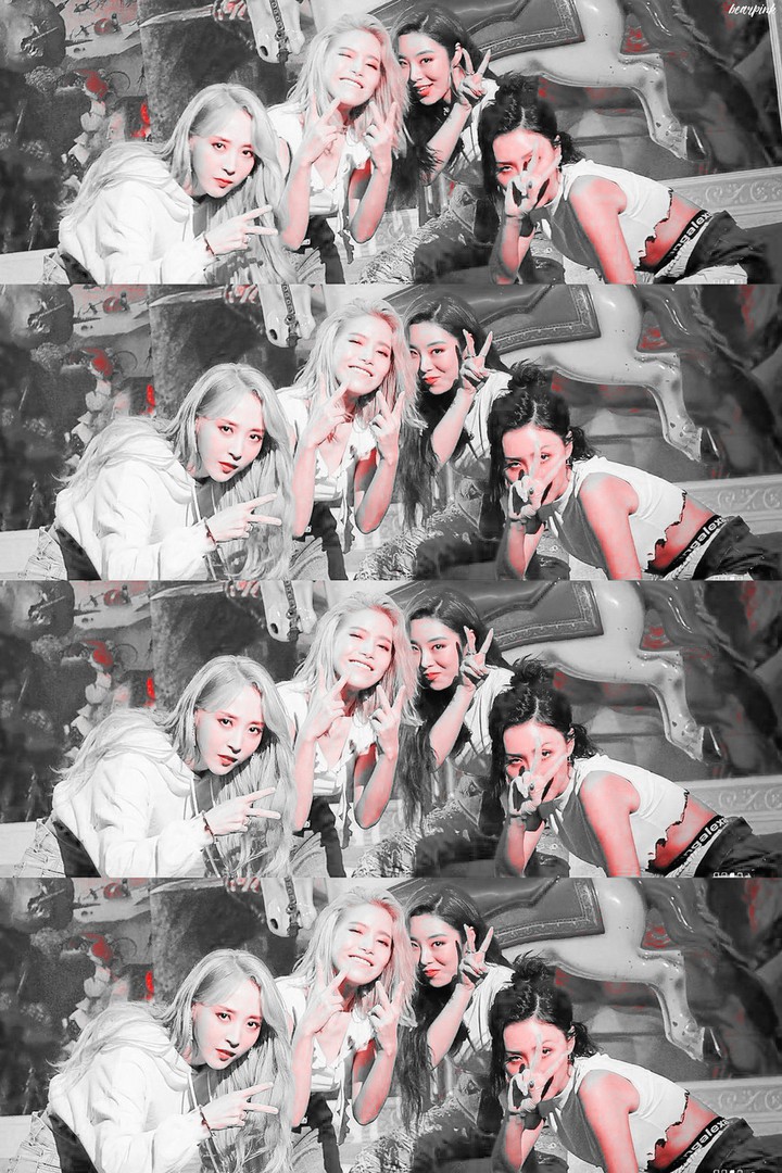 mamamoo