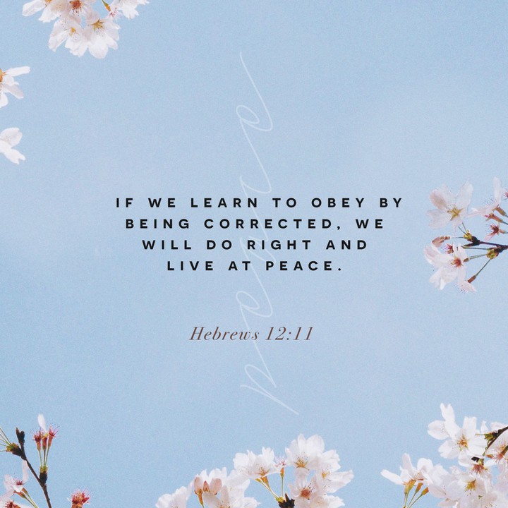 discipline