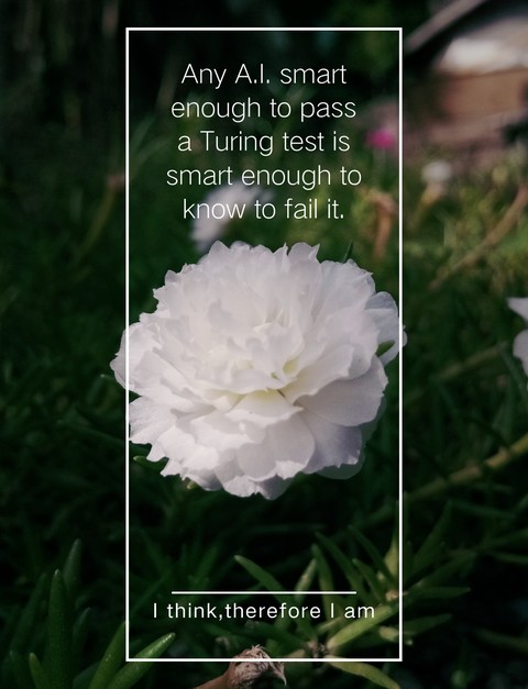 flora, flower वॉलपेपर