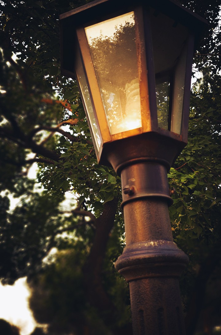 an evening walk