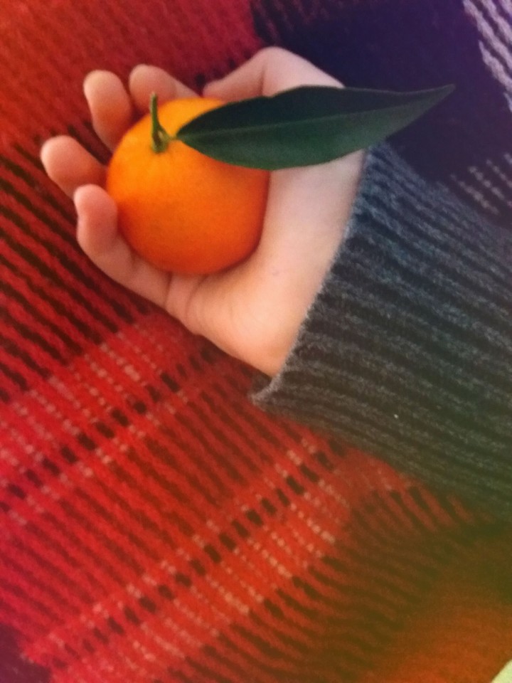 Winter smells of tangerines...
