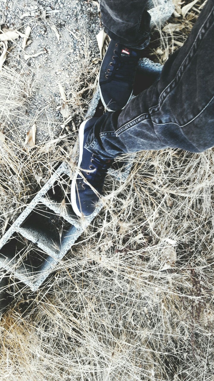 from above