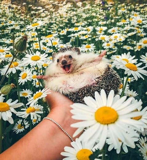 The face of pure joy