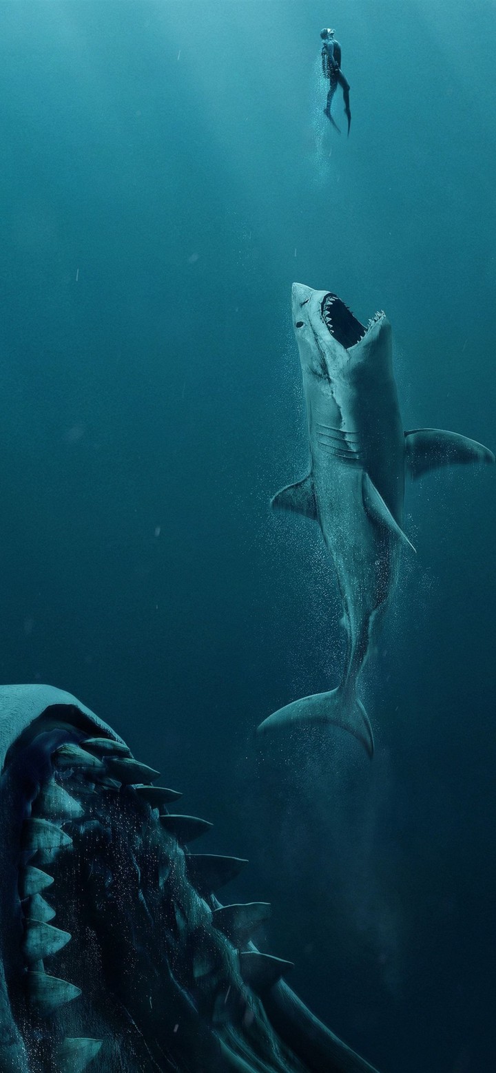 shark
