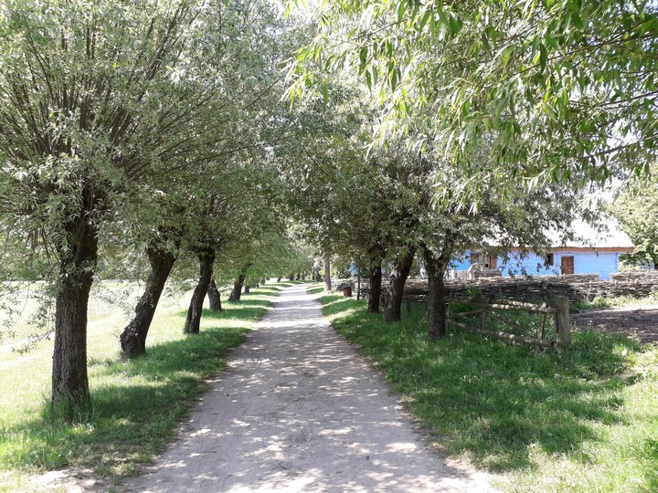 Path