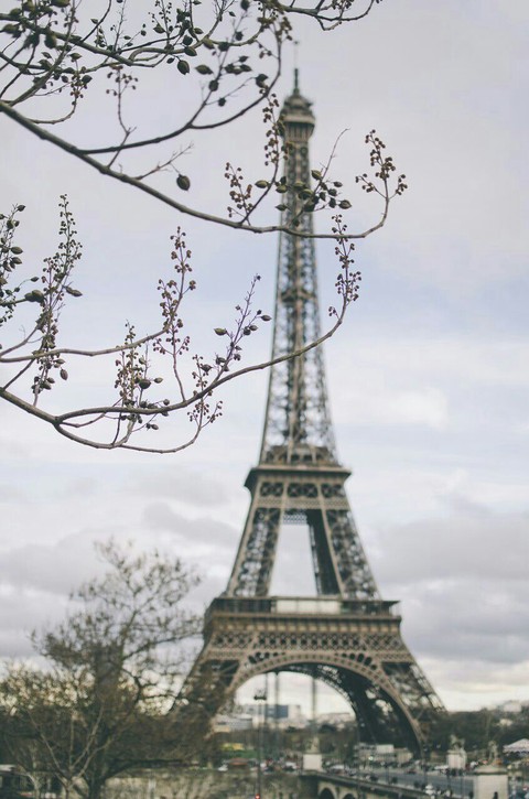 _- Eiffel tower -_