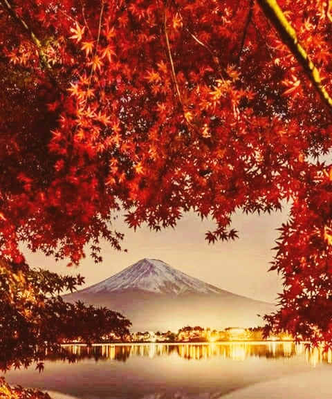 NATURE