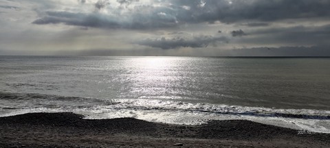 海