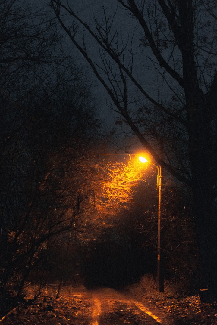 Loneliness