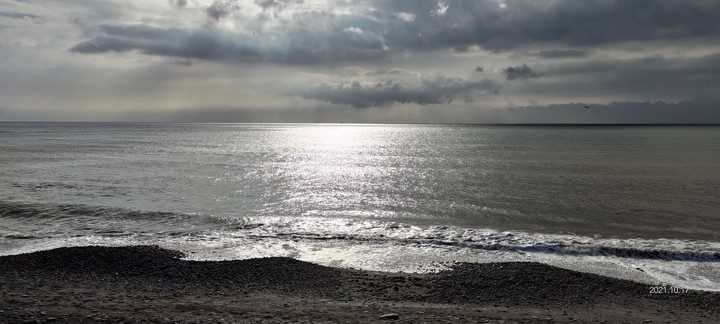 海