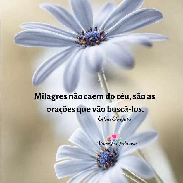 Aos meus queridos amigos do coração bjs
