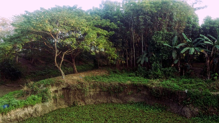Rural Bengal