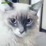 Удивлён
