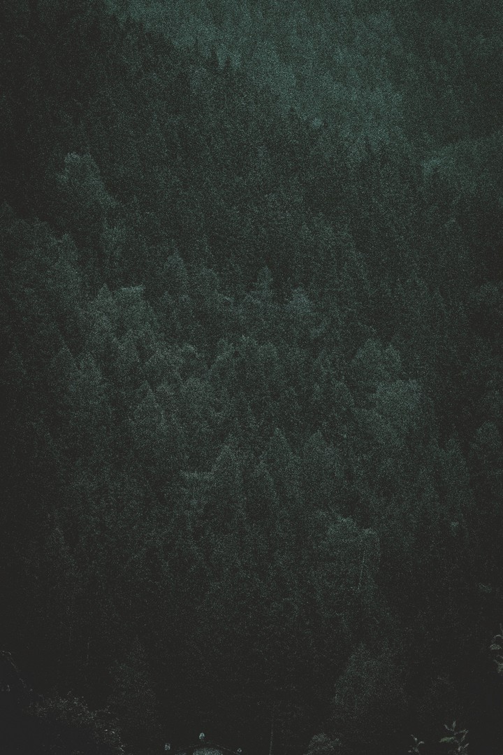 Trees