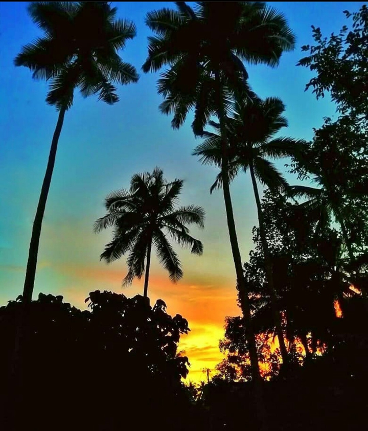 sunset