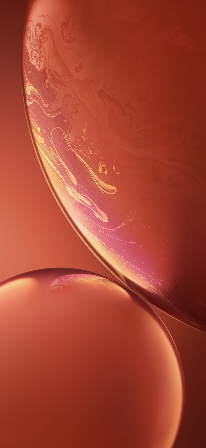 Wallpaper iPhone Xr Coral