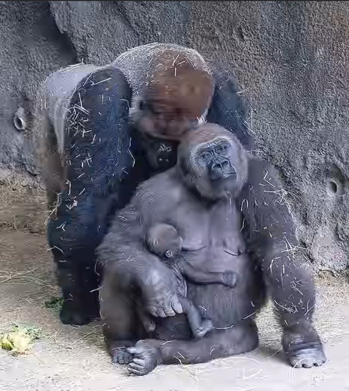 ❤❤