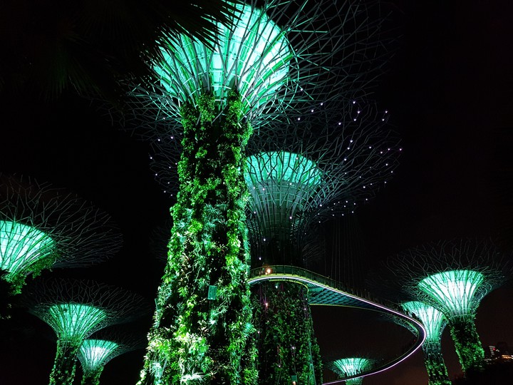 supertrees