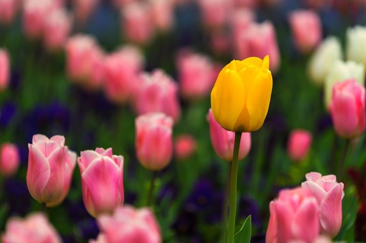 be different