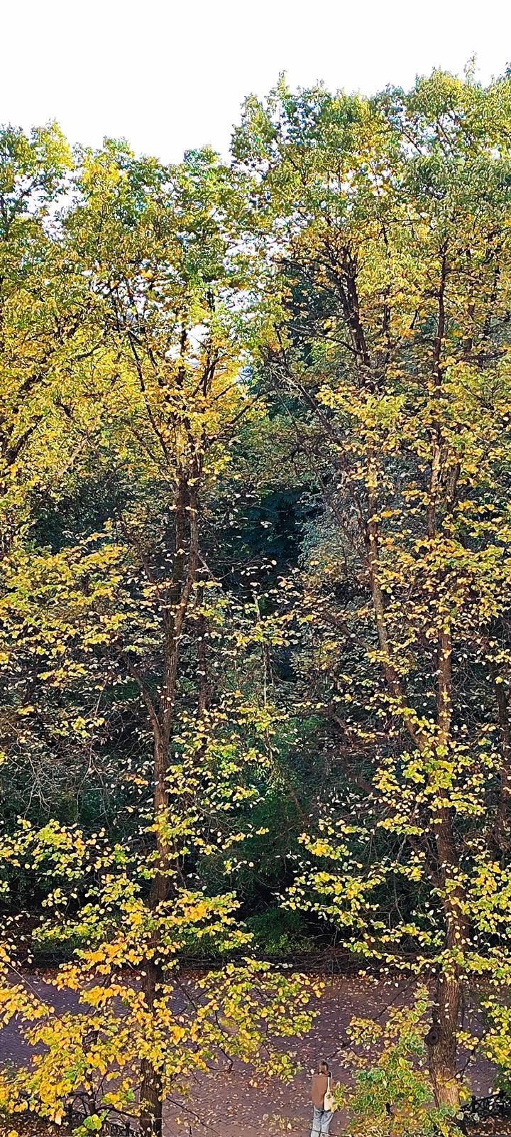 Autumn