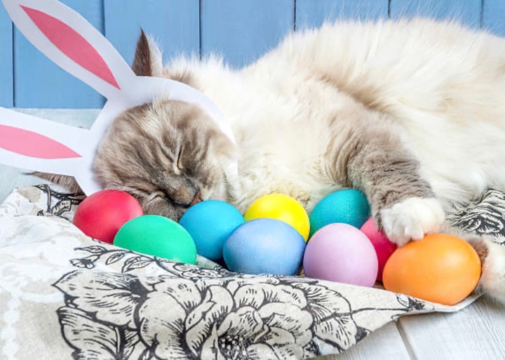 Happy Easter