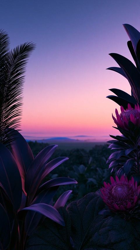 sunset, dusk桌布