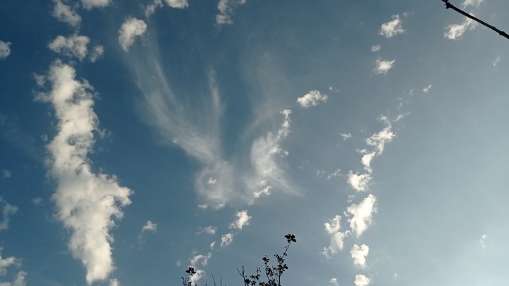 angels above us