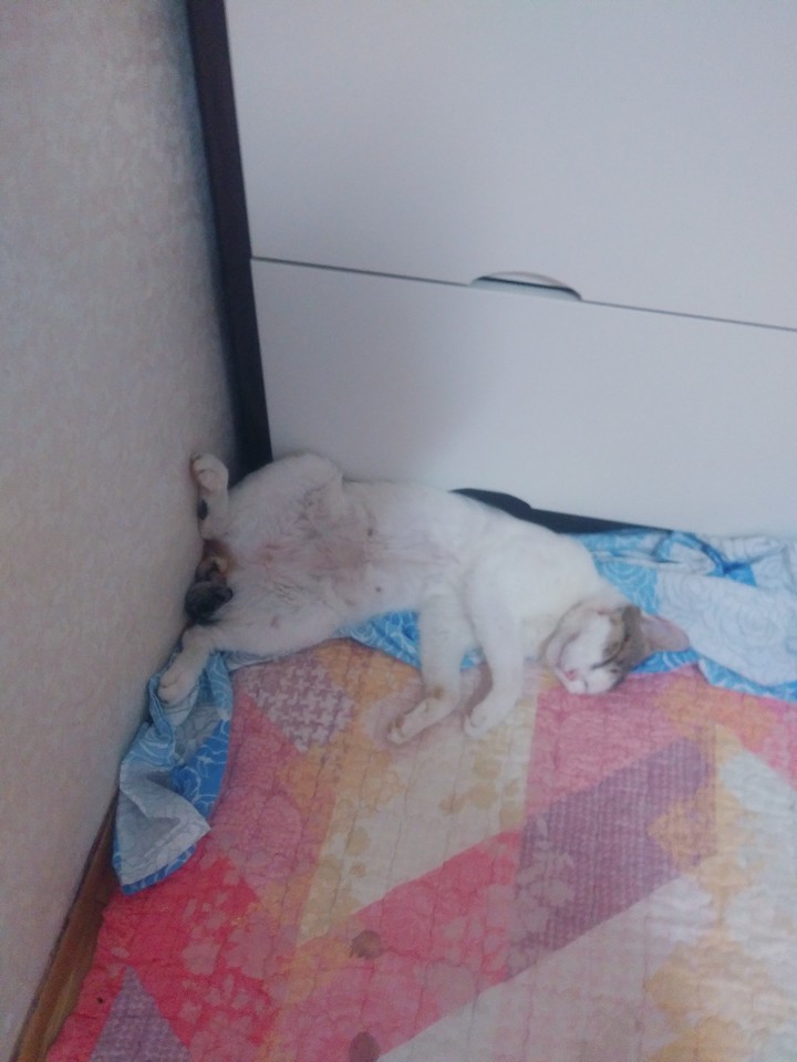 ㅎ
