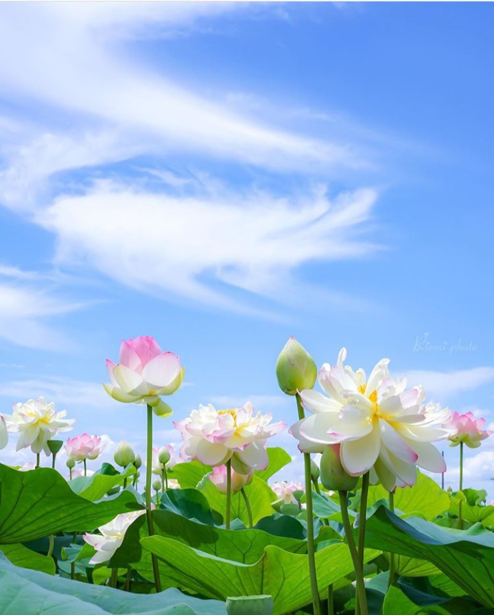 ღ✿◠‿◠✿ღ