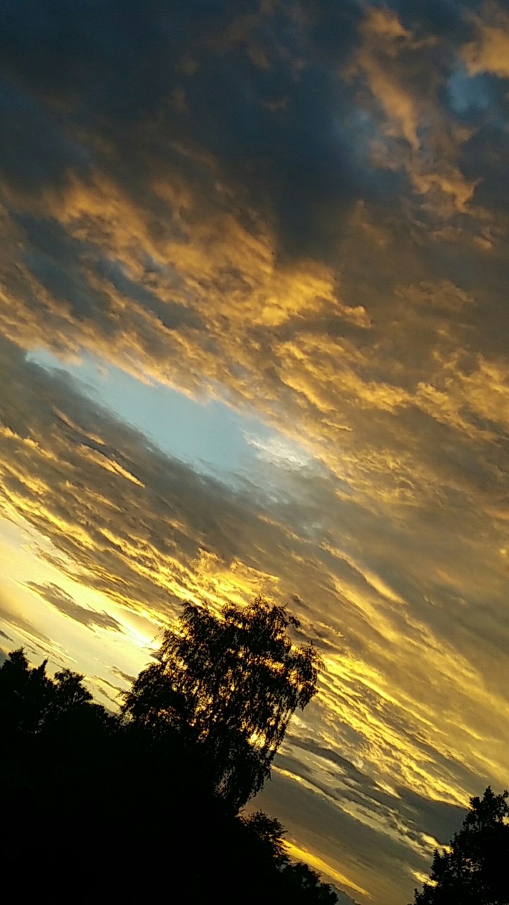 yellow sunset