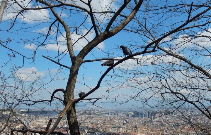 Napoli_ Naples/Italy