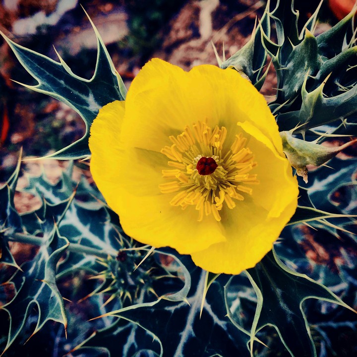 023