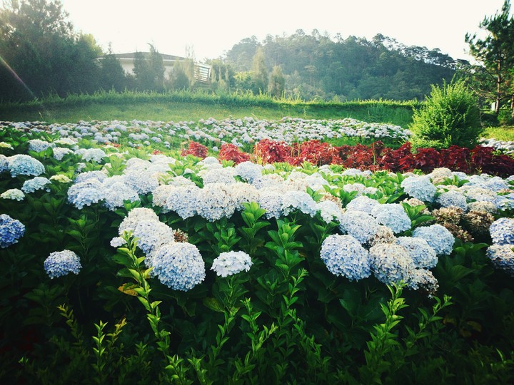 heaven ;))