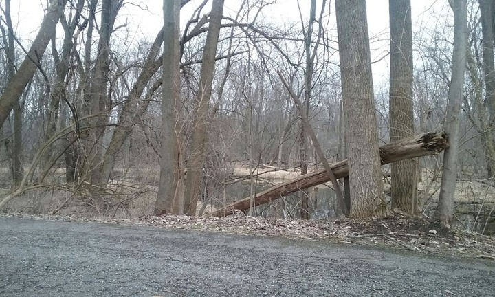 Park