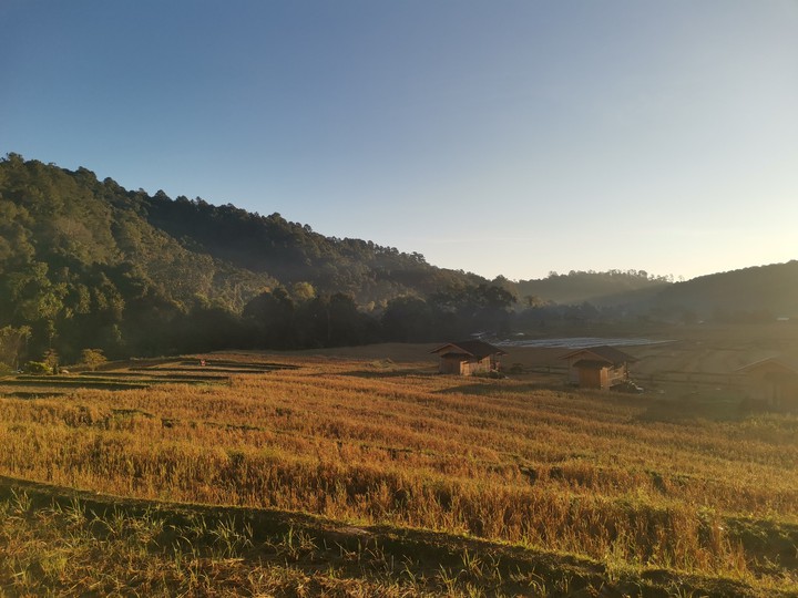 field