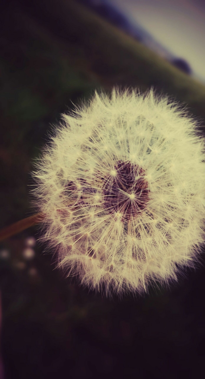 My favourite part of nature - plants
