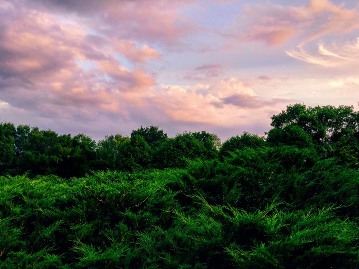 Strawberry sky