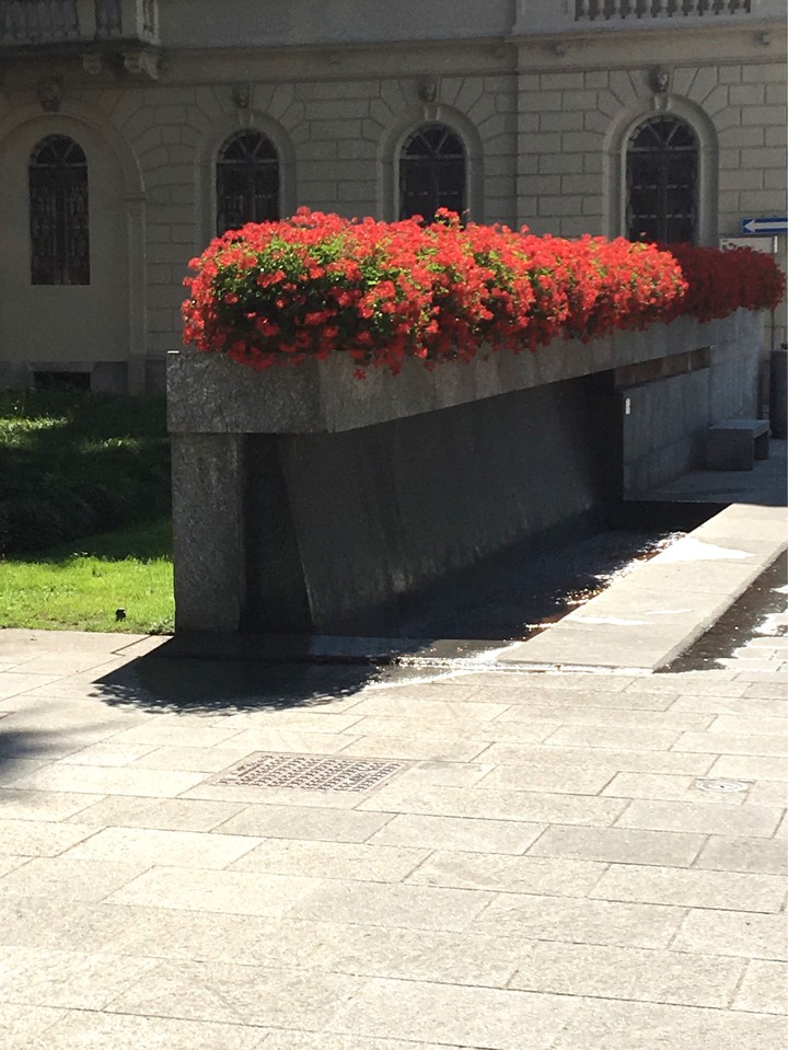 red flowers... 