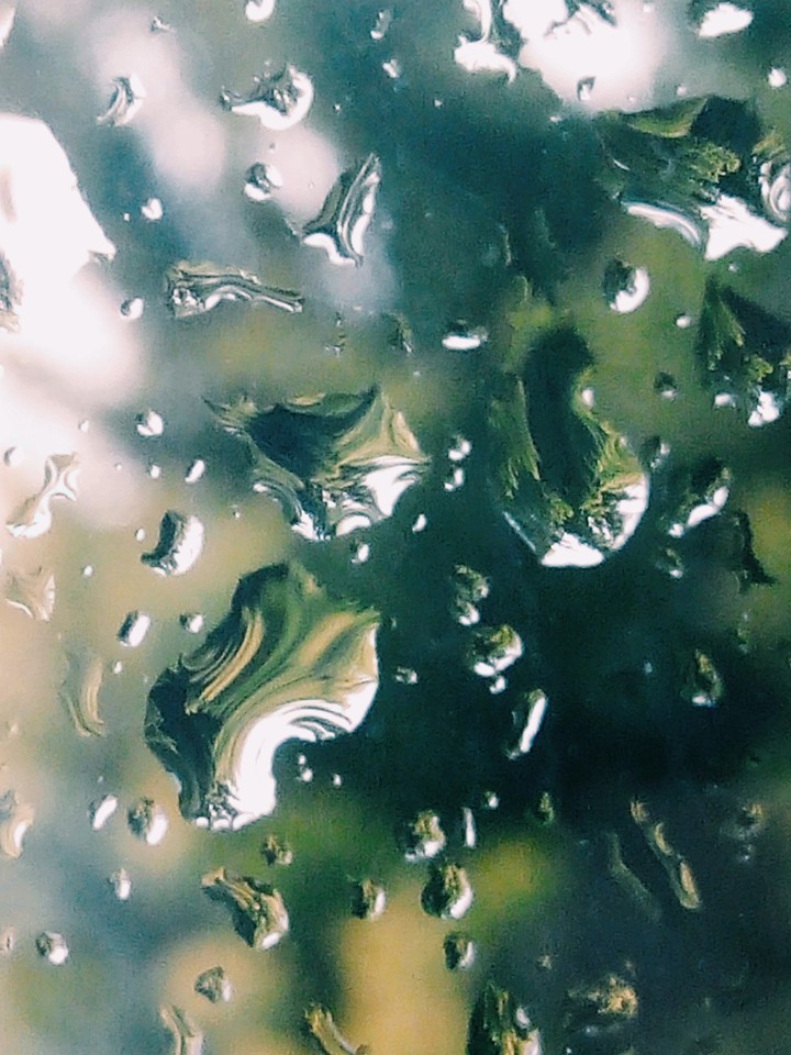 Rainy