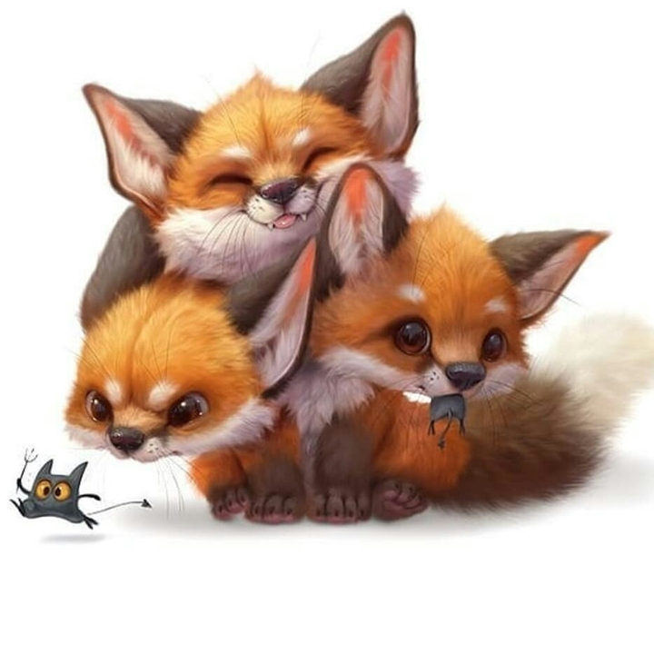 Fox