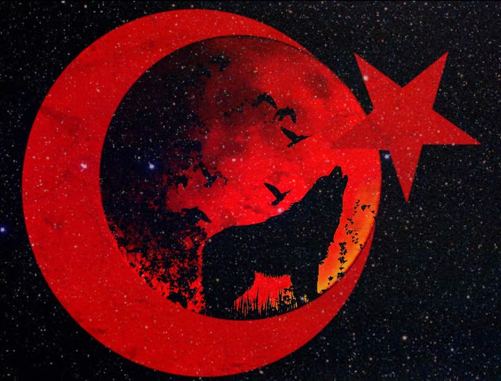 Gökbörü (sky wolf)