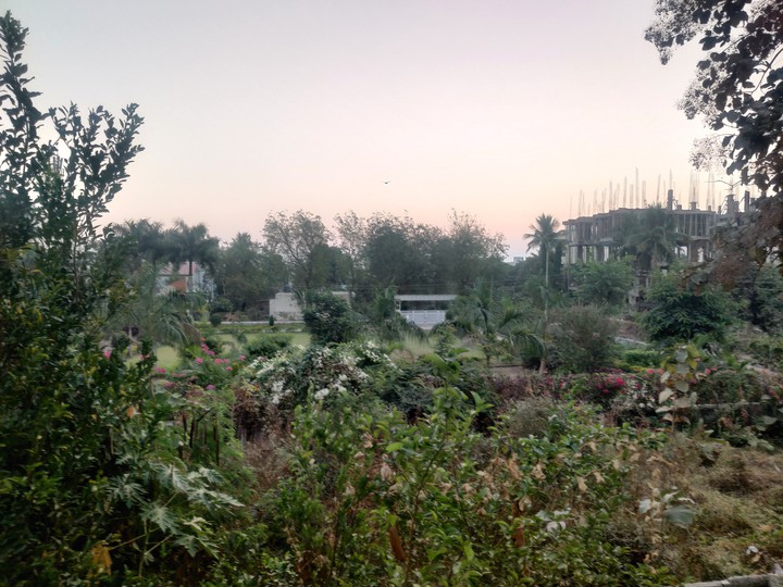 Nature