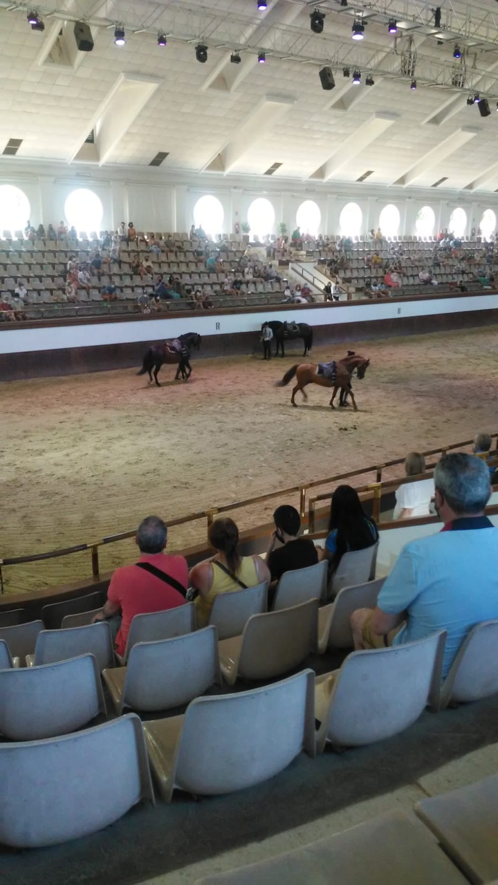 Real Escuela Ecuestre de Jerez