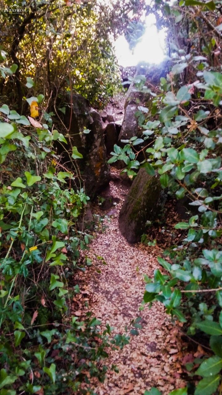 Caminhos