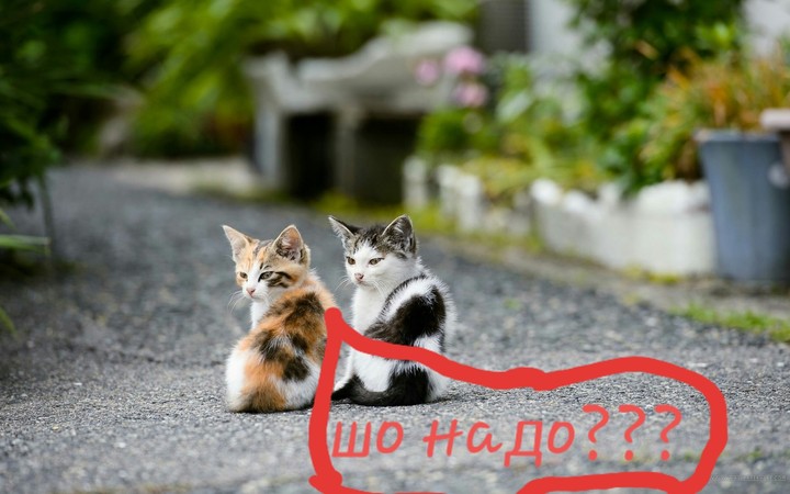 что надо???