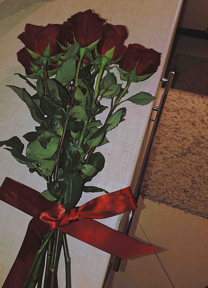 rose flower