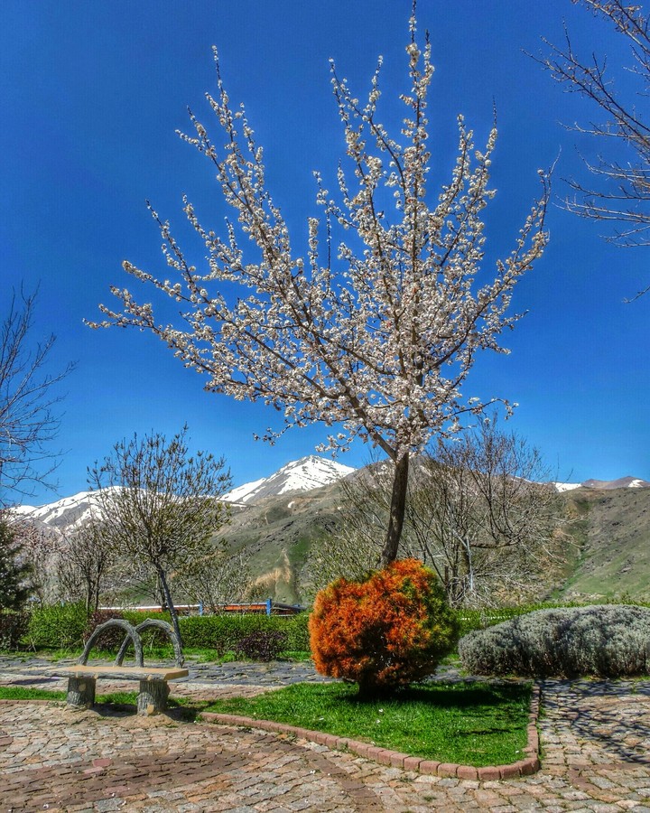 spring