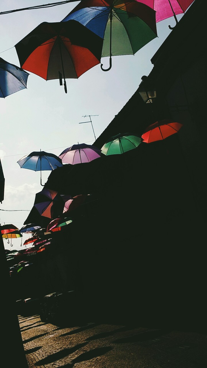 Umbrella