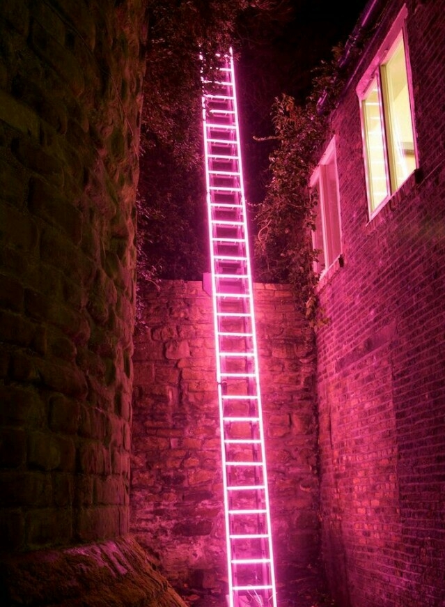 ladder