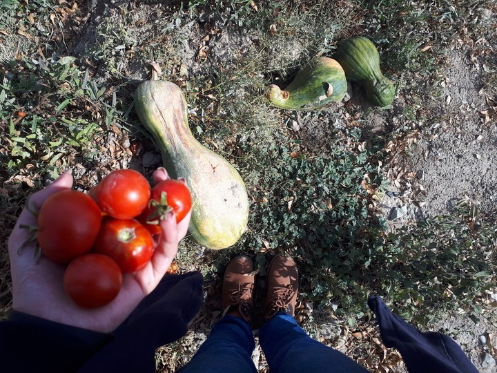 farm